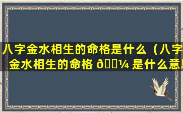 八字金水相生的命格是什么（八字金水相生的命格 🌼 是什么意思）
